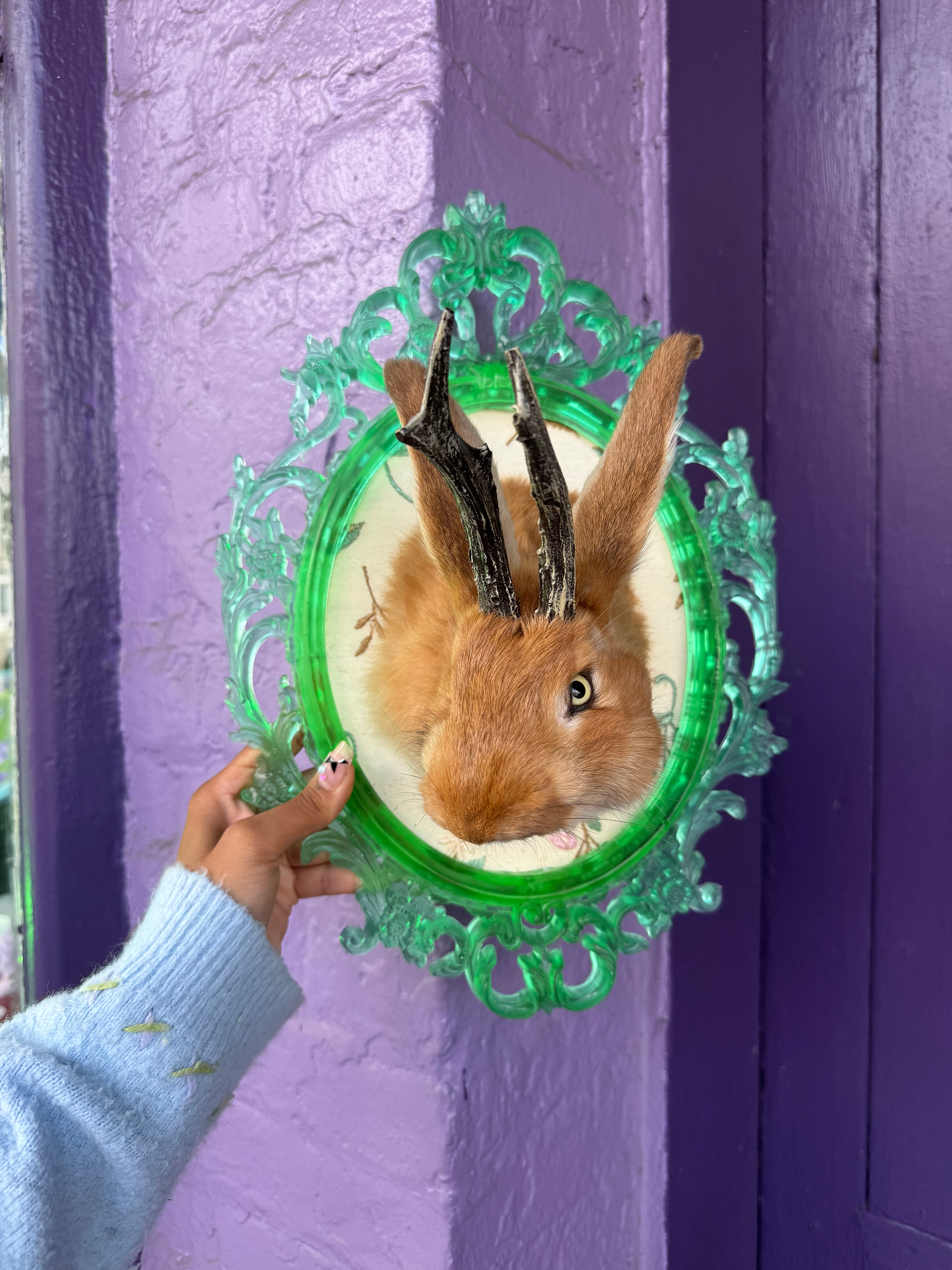 Green framed jackalope taxidermy