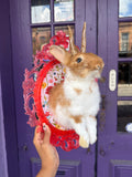 Pink jackalope with feet