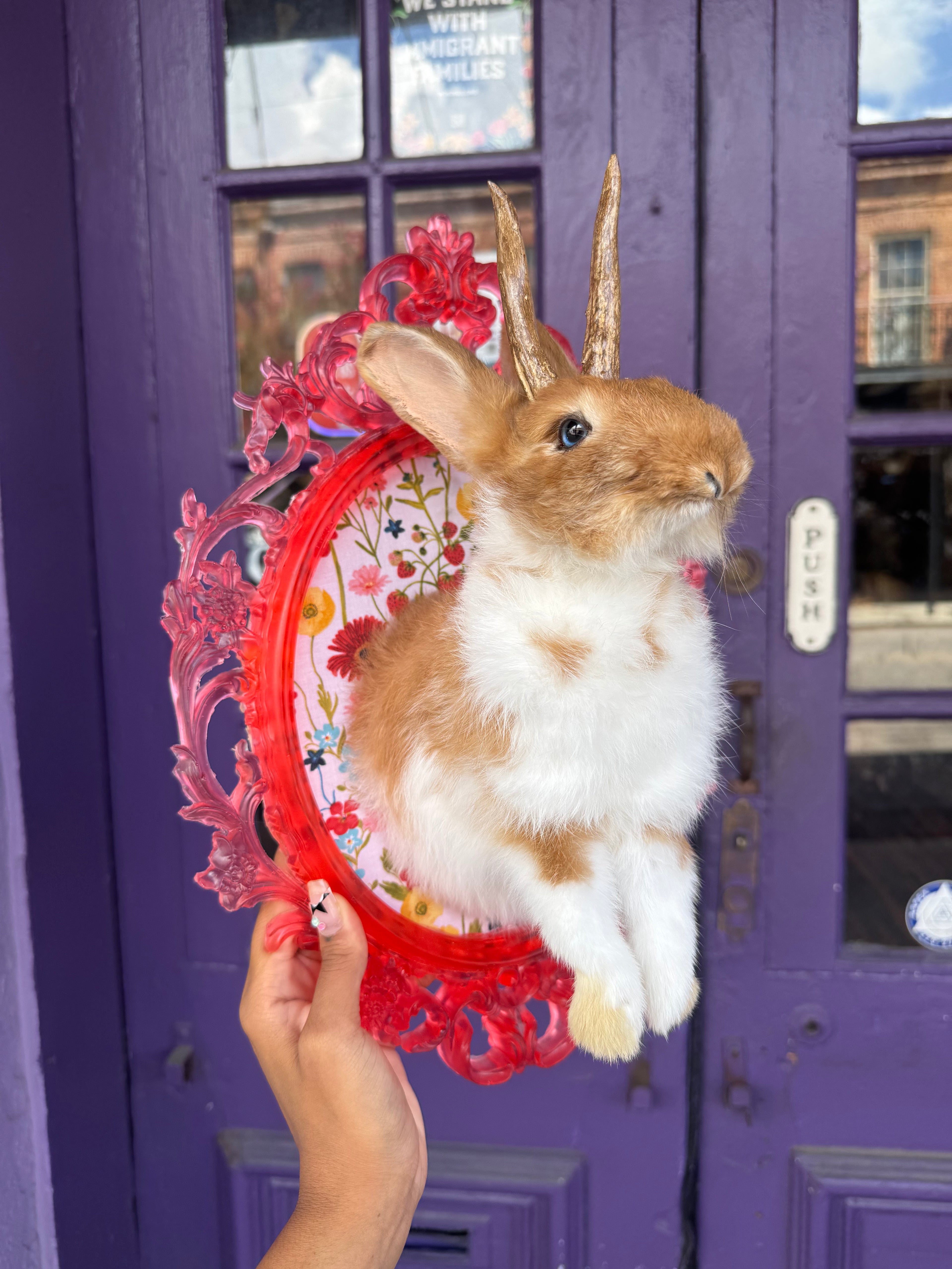 Pink jackalope with feet