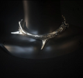 Roe Deer Antler Collar