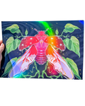 Bug series ladybug print holographic