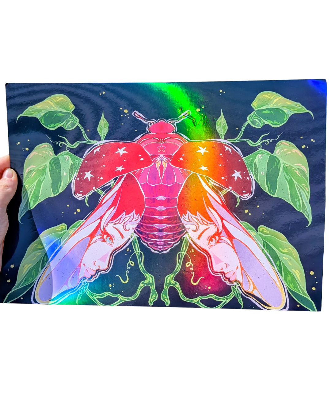 Bug series ladybug print holographic