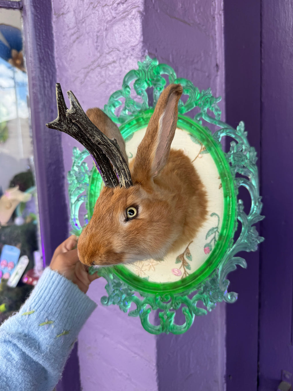 Green framed jackalope taxidermy