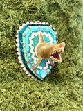 Shark by Cassie Tarr