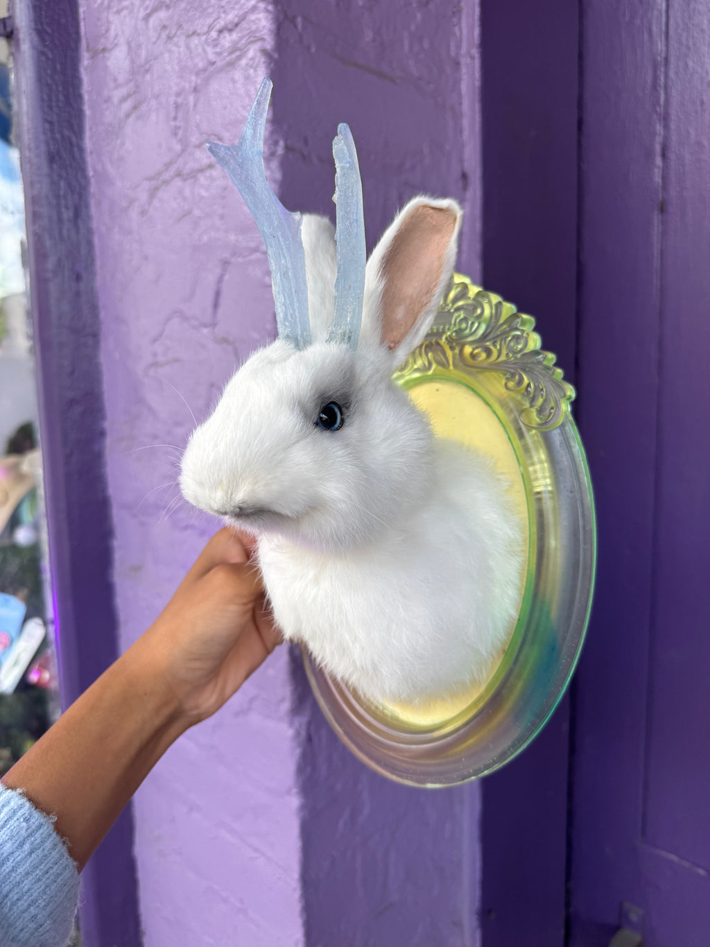 Small opaque white jackalope taxidermy