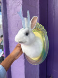 Small opaque white jackalope taxidermy