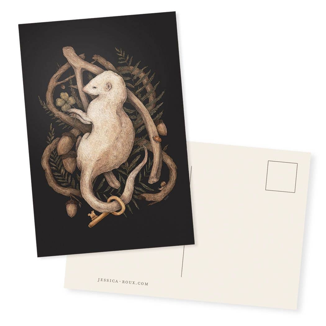 4” x 6” Ferret Postcard