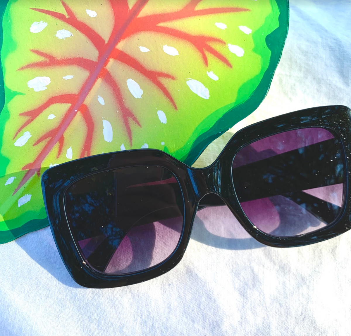 XL Bardot Sunglasses
