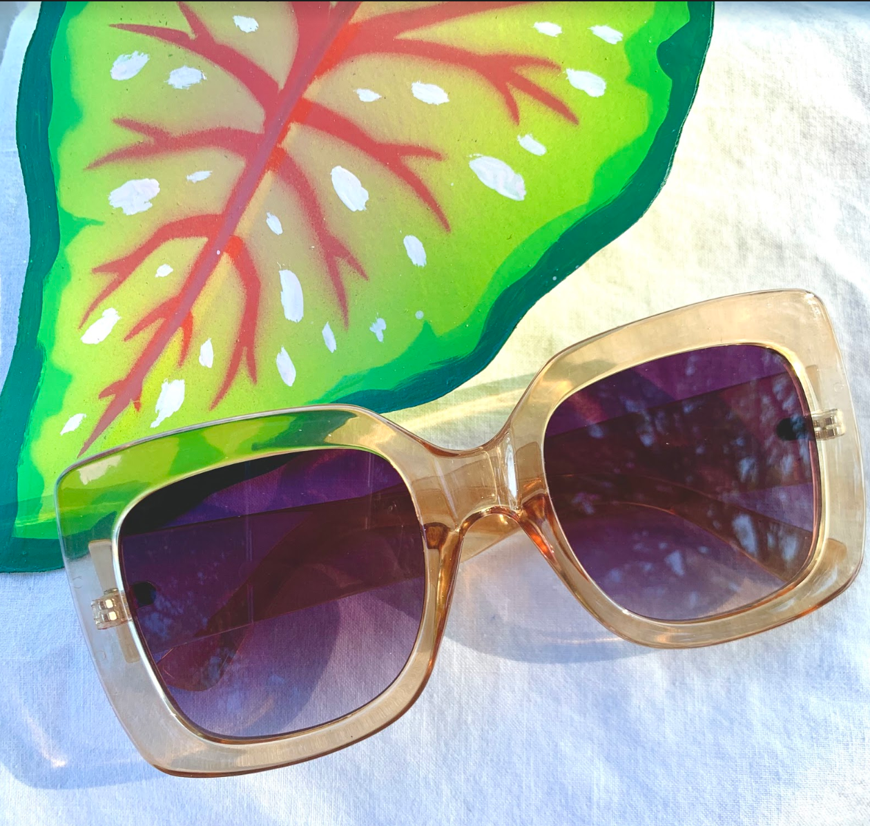 XL Bardot Sunglasses