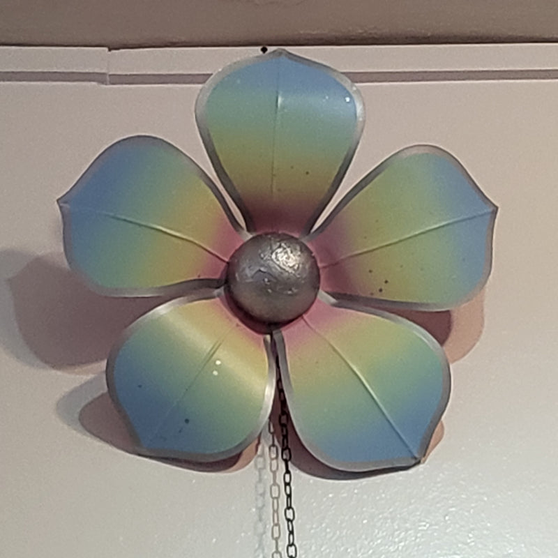 Dana B Flower