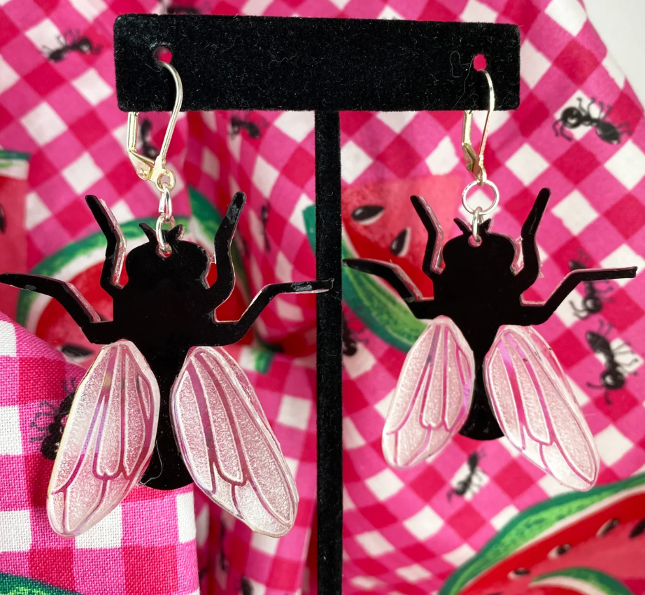 I Believe I Can Flies