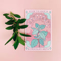 Peppermint Tarot Garden + Gift Seed Packet