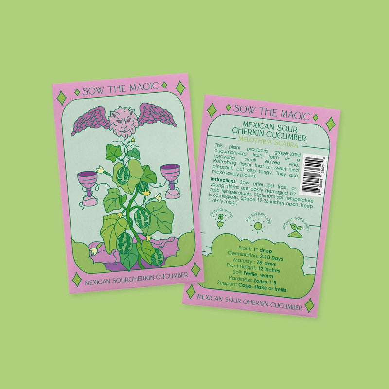 Mexican Sour Gherkin Cucumber Garden + Gift Seed Packet