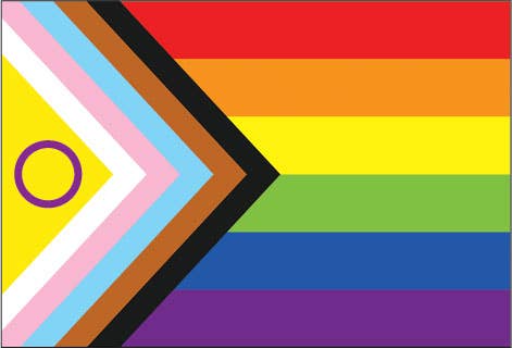 MAGNET: Intersex Progress Pride Flag