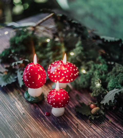 Cottagecore Mushroom pack Candle - Amanita candles mushrooms