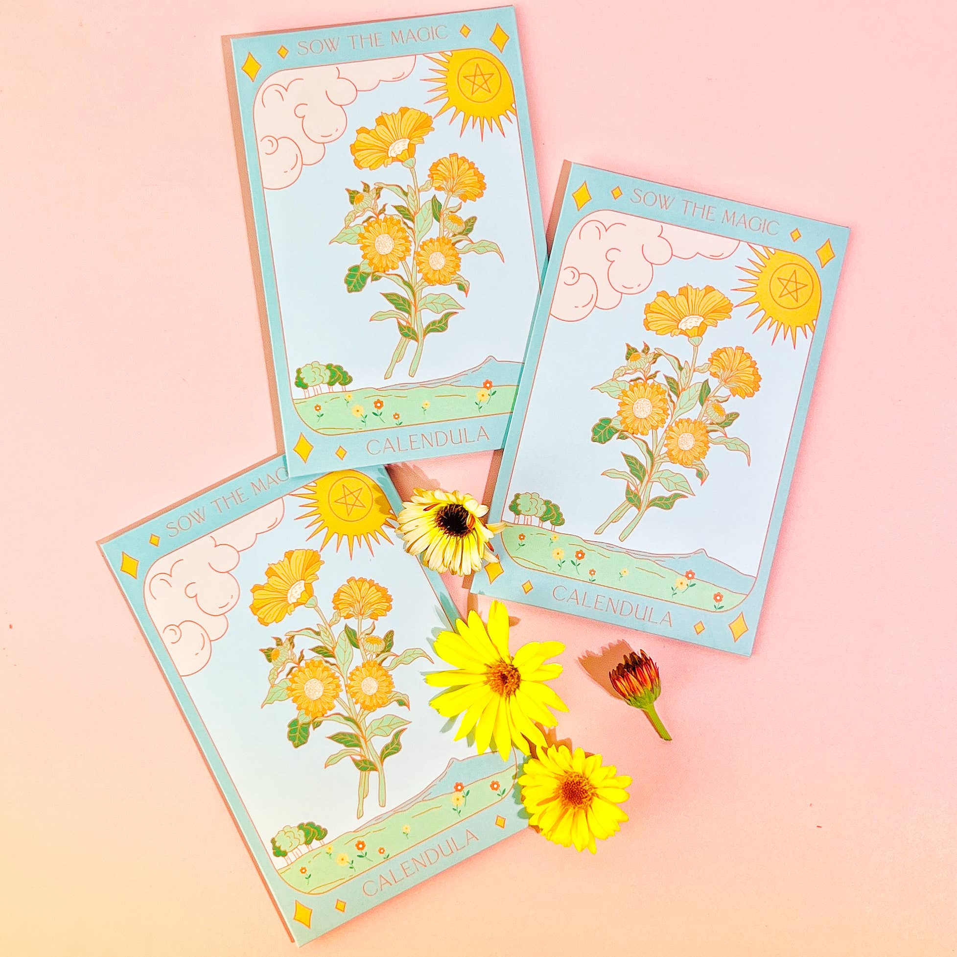 Calendula Tarot Garden + Gift Seed Packet