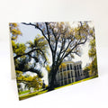 Shadow Angelina Double Photo Greeting Card - Plantation