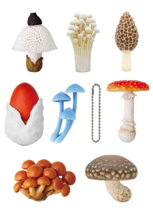 Mushroom Charm Blind Box
