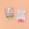Thai Red Roselle Hibiscus Tarot Garden + Gift Seed Packet