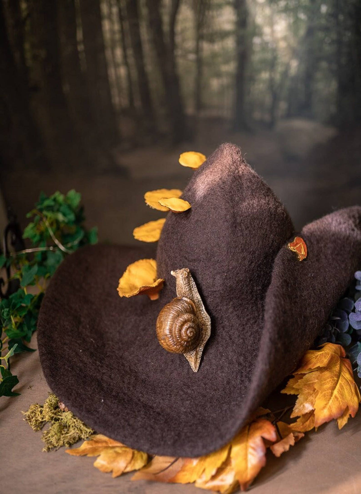 Forest Witch hat mushrooms Snail forest wizard Halloween