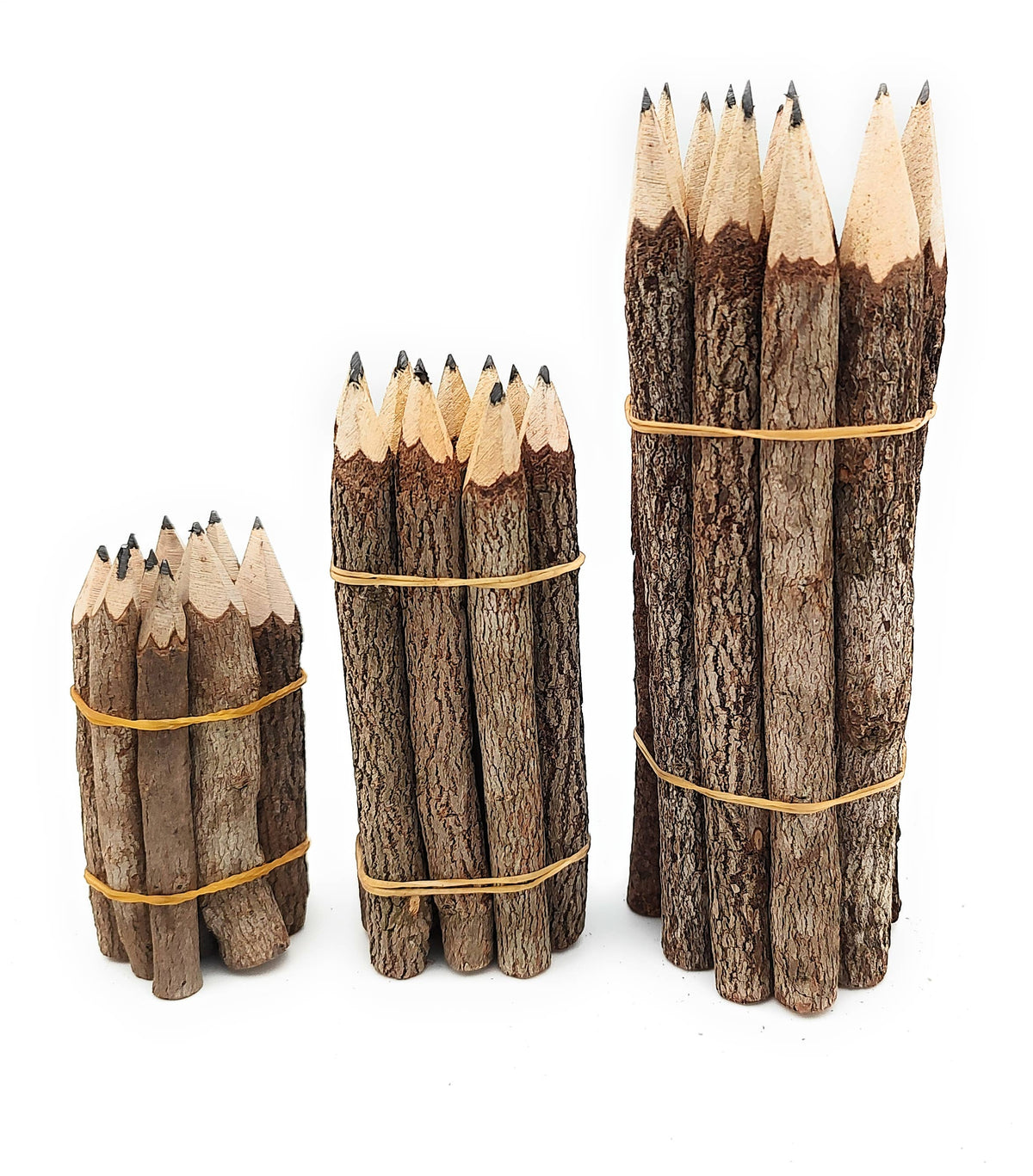 5 Inch Jungle Vine Pencils