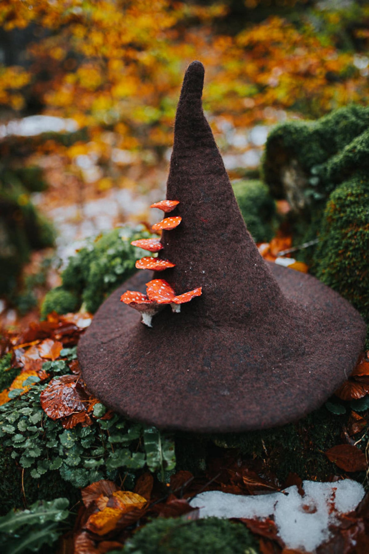 Witch hat with mushrooms amanita forest Halloween costume