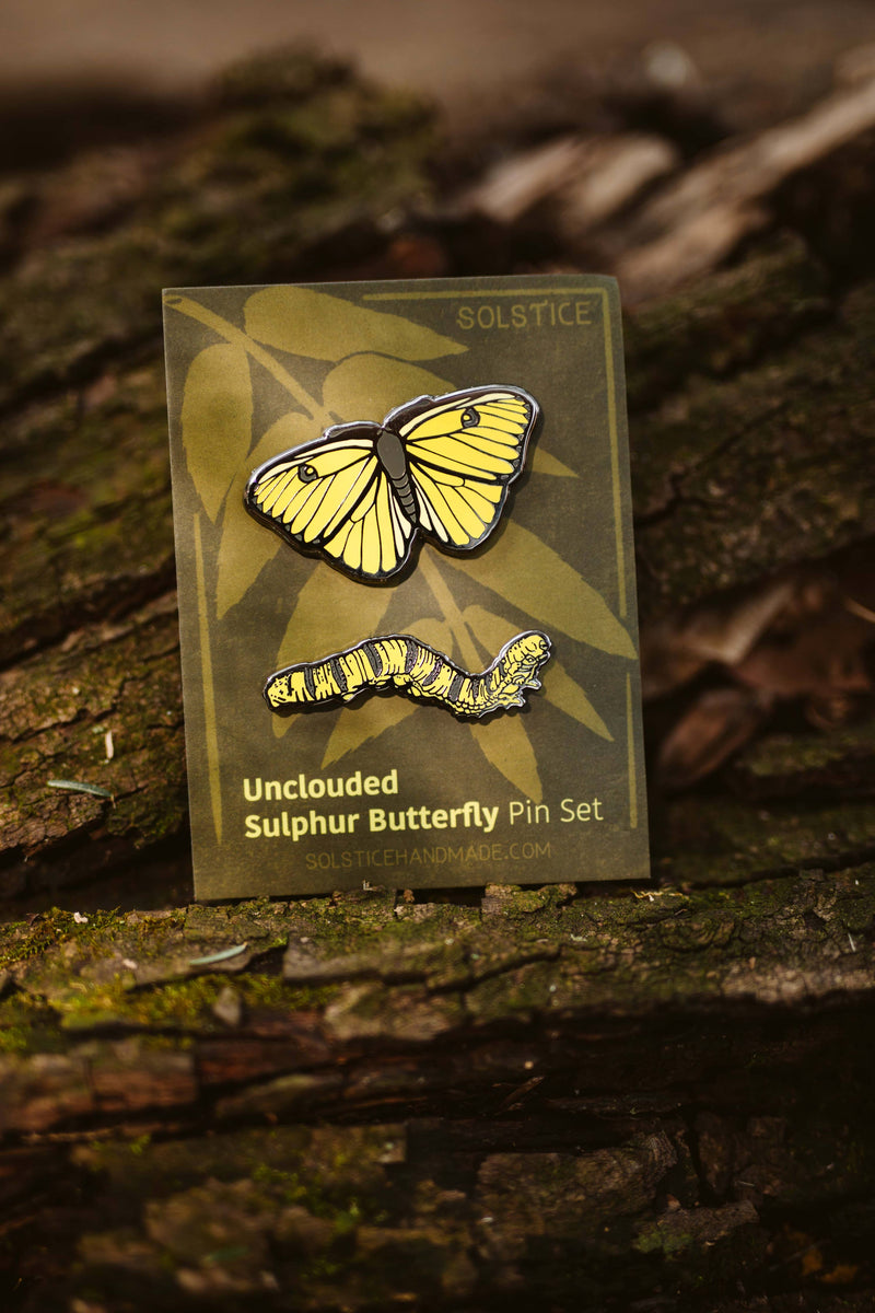 Sulphur Butterfly Pin Set