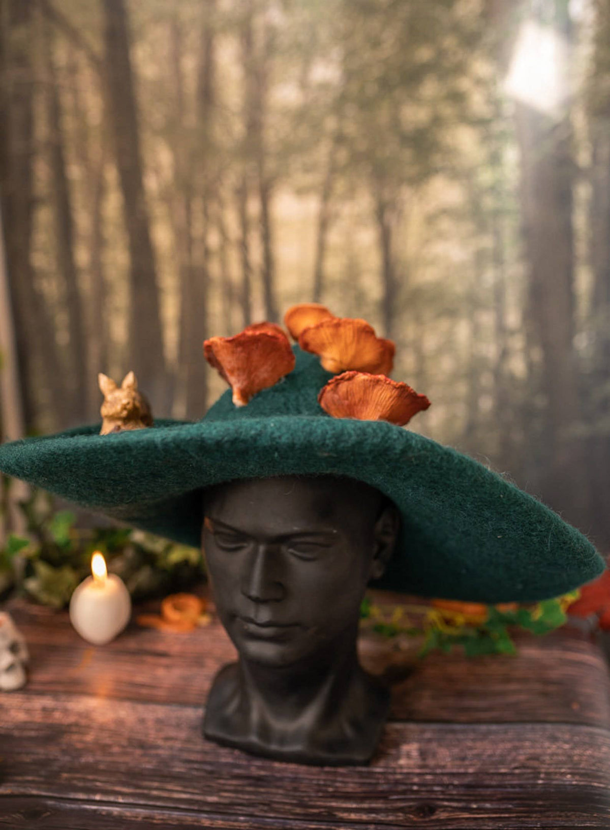 Forest Witch hat mushrooms Squirrel forest wizard
