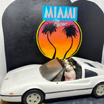 Miami Mice Taxidermy