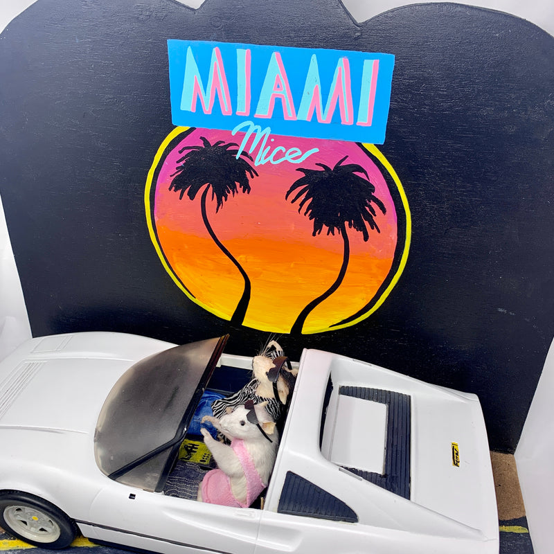 Miami Mice Taxidermy